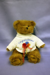 Product image for 1714 Beary Best Wishes