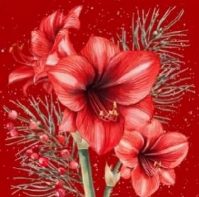 Add a touch of festive elegance to any winter gathering with our stunning Winter Bouquet Lunch Napkins. Each retail pack contains 20 luxurious 3-ply napkins, designed to impress your customers.
Featuring a vibrant illustration of rich red amaryllis blooms, delicate pine sprigs, and festive berries, all set against a beautiful deep red background. These napkins are perfect for Christmas parties, seasonal celebrations, or simply making everyday meals feel special. Soft, absorbent, and wonderfully decorative, they're a must-have for your customers looking to create a truly memorable table setting. Stock up on these gorgeous napkins from Anniversary House and delight your shoppers this winter season!