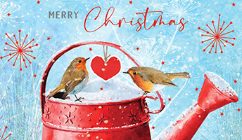 Christmas Open Greeting Cards