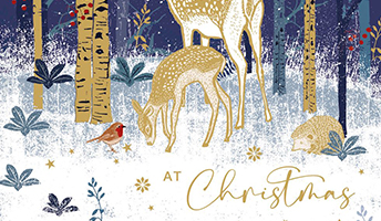 Premium Christmas Cards