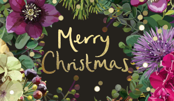 Sarah Kelleher Christmas Range