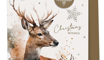 Christmas Stag Gift Bag
