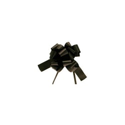 A close-up of a black bow on a white background.