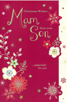 A Christmas card that says, "Christmas wishes from your son."
