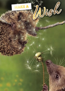 A hedgehog blowing dandelion seeds next to a mouse that says "make a wish".