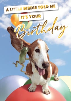 A little birdie told me it's your birthday.