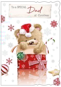 A Christmas card that says "To a special dad at Christmas."