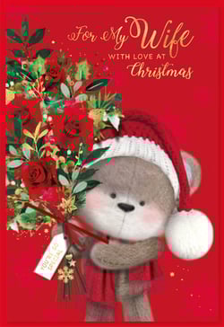 A Christmas card that says "For my wife, with love, at Christmas."