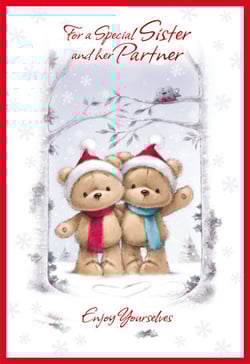 A Christmas card for a special sister and her partner.