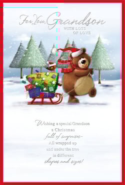 A Christmas card wishes a special grandson a Christmas full of surprises.