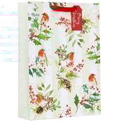 a gift bag that says merry christmas on it