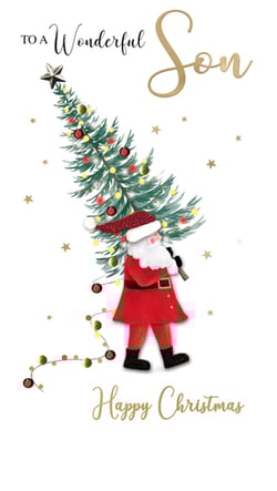 a christmas card that says to a wonderful son