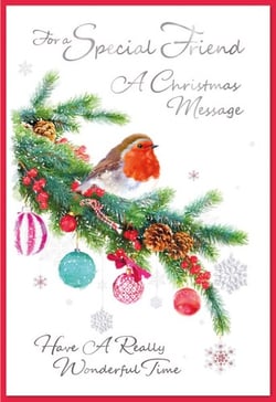 a christmas card for a special friend with a bird on a branch