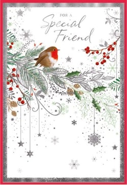 a christmas card for a special friend with a bird on a branch