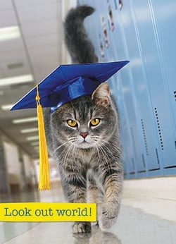 a cat wearing a graduation cap and tassel is walking down a hallway .