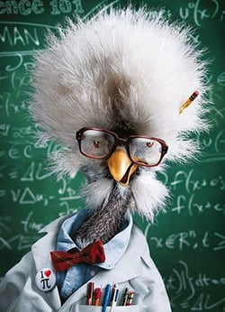 a chicken wearing glasses and a lab coat is standing in front of a blackboard .