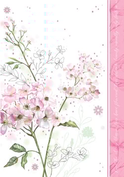 No grammatical errors.