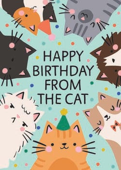 a birthday card with a bunch of cats wearing party hats .