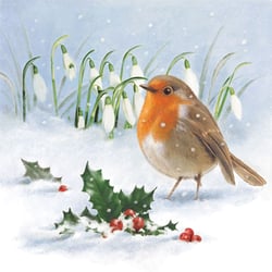 a small bird is standing in the snow near holly and snowdrop flowers