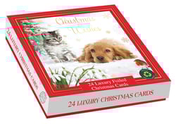 a box of 24 luxury foiled christmas cards