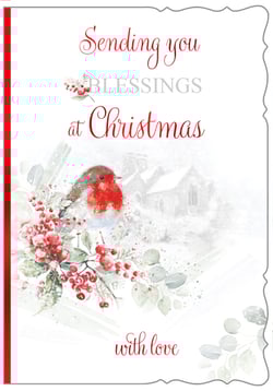 a december birthday card with snowdrops and a robin on a branch .