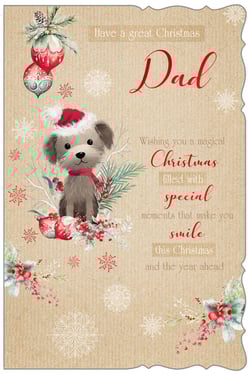 a christmas card for a dad wishing you a magical christmas filled with special moments that make you smile this christmas