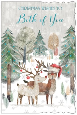 a christmas card that says christmas wishes to both of you