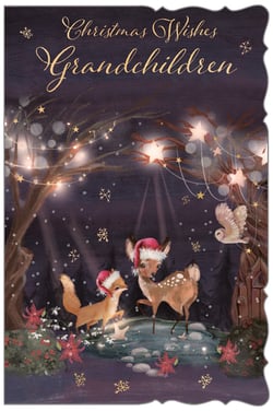 a christmas card that says christmas wishes grandchildren