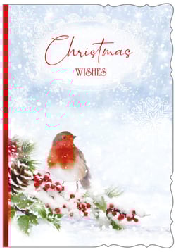 a christmas wishes card with a bird on a snowy branch
