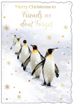 a christmas card that says merry christmas to friends we do n't forget