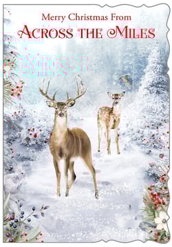 a christmas card that says merry christmas from across the miles