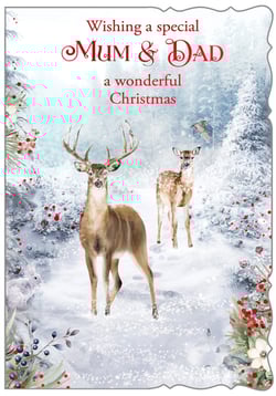 a christmas card wishing a special mum and dad a wonderful christmas