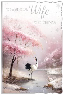 a christmas card that says to a special wife at christmas
