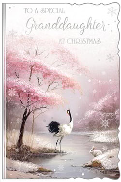 a christmas card that says to a special granddaughter at christmas