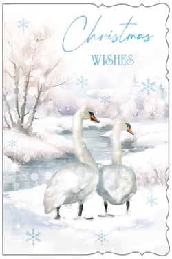 a christmas wishes card with two swans in the snow
