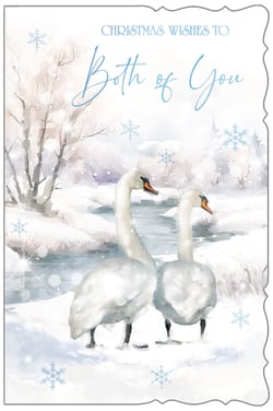 christmas wishes to both of you with two swans in the snow