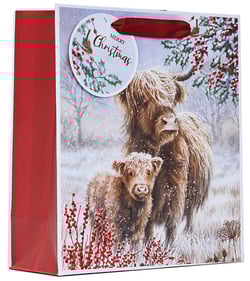 a gift bag that says merry christmas on it