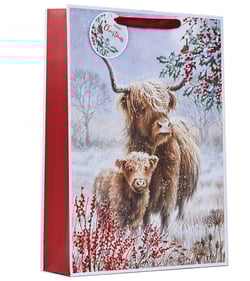 a gift bag that says merry christmas on it
