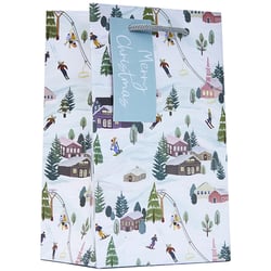 a gift bag with a tag that says merry christmas