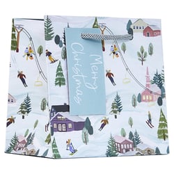 a gift bag with a tag that says merry christmas