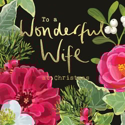a christmas card that says to a wonderful wife at christmas