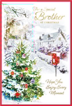 a robin is sitting on a branch in the snow on a christmas card .