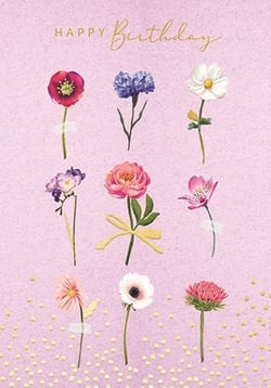 a necklace in a box that says elegant pastel collection