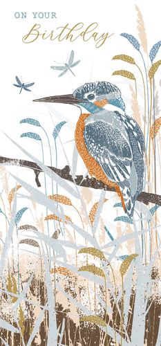 a birthday card with a bird sitting on a branch surrounded by tall grass and dragonflies .