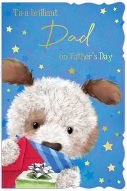 a father 's day card with a stuffed animal and the words to a brilliant dad on father 's day