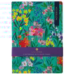 a set of 3 notebooks with ruled pages by liliana