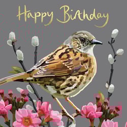 a happy birthday card with a bird and pink flowers