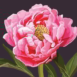 a close up of a pink flower with a yellow center