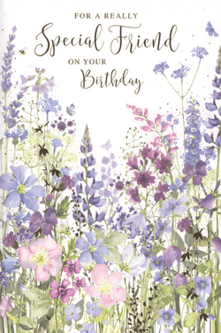 Celebrate a special friend's birthday with this charming card from Simon Elvin. Featuring a beautiful watercolour design of wild flowers in soft purples, pinks, and blues, it evokes a gentle, natural feel. Delicate butterflies and a tiny bee add to the enchanting meadow scene. The elegant script on the card reads, "FOR A REALLY Special Friend ON YOUR Birthday," making it perfect for conveying warm wishes to any female friend. This thoughtful card is supplied in a convenient pack of 6, ensuring you're always prepared for those important celebrations.