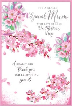 for a really special mum with lots of love on mother 's day a really big thank you for everything you do .